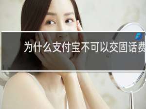 为什么支付宝不可以交固话费