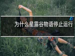 为什么星露谷物语停止运行