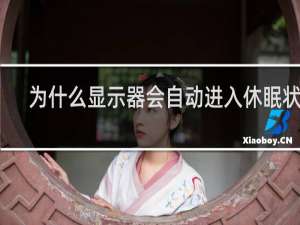 为什么显示器会自动进入休眠状态