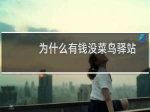 为什么有钱没菜鸟驿站