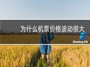 为什么机票价格波动很大