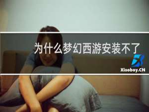 为什么梦幻西游安装不了