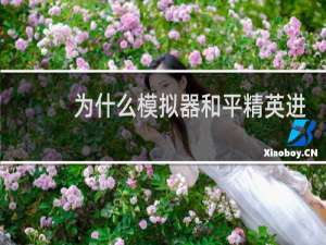 为什么模拟器和平精英进不去