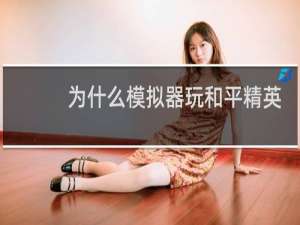 为什么模拟器玩和平精英匹配不到人