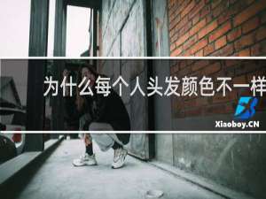 为什么每个人头发颜色不一样