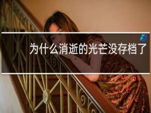 为什么消逝的光芒没存档了