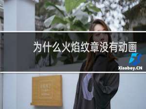 为什么火焰纹章没有动画