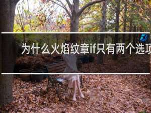 为什么火焰纹章if只有两个选项