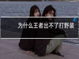 为什么王者出不了打野装