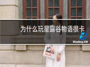 为什么玩星露谷物语很卡