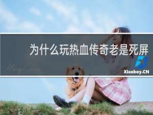 为什么玩热血传奇老是死屏