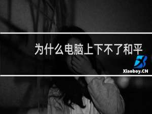 为什么电脑上下不了和平精英(电脑为什么打不开和平精英)