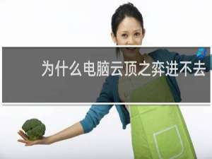 为什么电脑云顶之弈进不去
