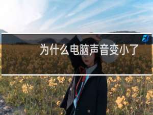为什么电脑声音变小了