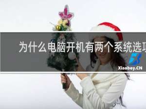 为什么电脑开机有两个系统选项
