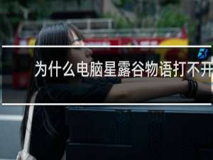 为什么电脑星露谷物语打不开