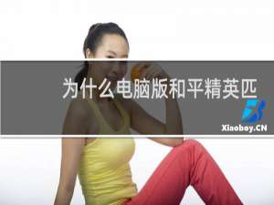 为什么电脑版和平精英匹配不到人