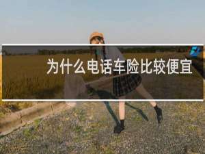 为什么电话车险比较便宜