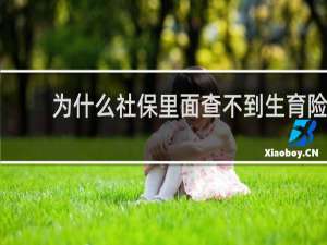 为什么社保里面查不到生育险