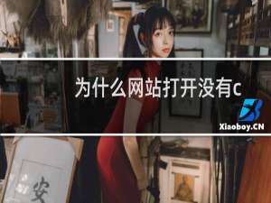 为什么网站打开没有css样式