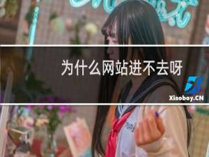 为什么网站进不去呀？？？