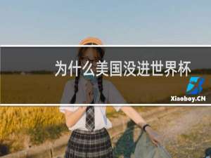 为什么美国没进世界杯