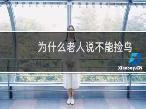 为什么老人说不能捡鸟