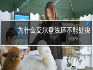 为什么艾尔登法环不能处决