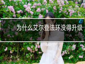 为什么艾尔登法环没得升级