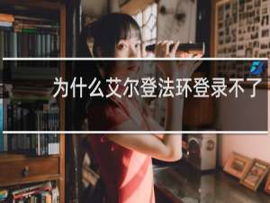 为什么艾尔登法环登录不了