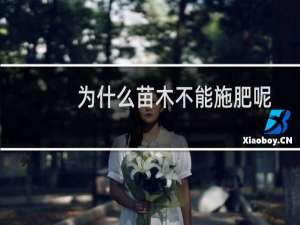 为什么苗木不能施肥呢