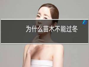为什么苗木不能过冬