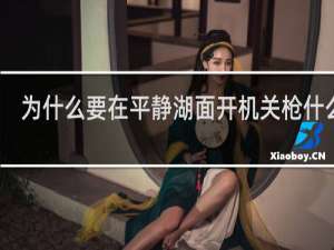 为什么要在平静湖面开机关枪什么梗