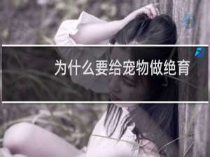 为什么要给宠物做绝育