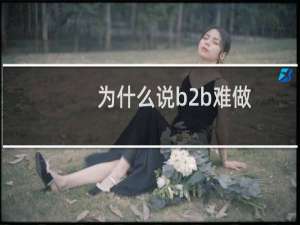 为什么说b2b难做