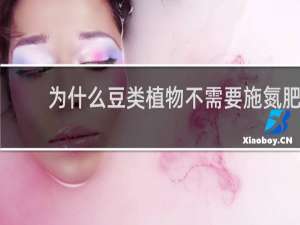 为什么豆类植物不需要施氮肥