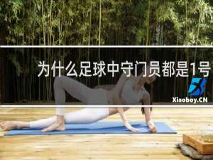 为什么足球中守门员都是1号