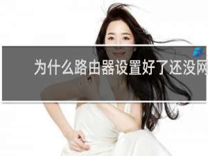 为什么路由器设置好了还没网