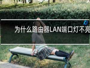 为什么路由器LAN端口灯不亮