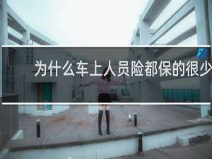 为什么车上人员险都保的很少