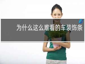 为什么这么难看的车装饰条