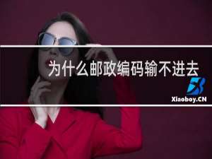 为什么邮政编码输不进去