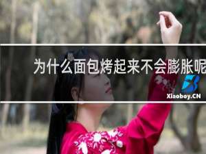 为什么面包烤起来不会膨胀呢