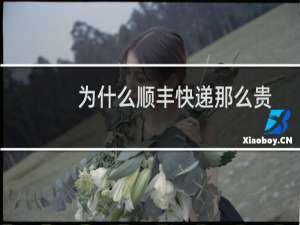 为什么顺丰快递那么贵
