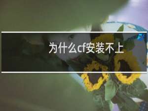 为什么cf安装不上