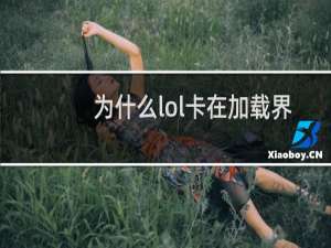 为什么lol卡在加载界面进不去