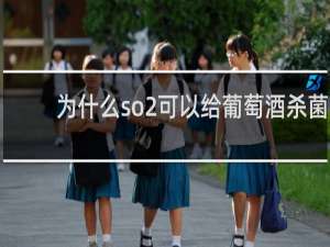 为什么so2可以给葡萄酒杀菌