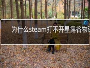 为什么steam打不开星露谷物语