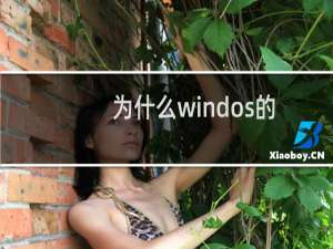 为什么windos的服务器ASP不可以伪静态