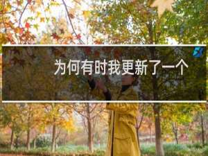 为何有时我更新了一个文件会导置其他用户控件出错
